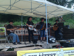 IMAG0557.jpg